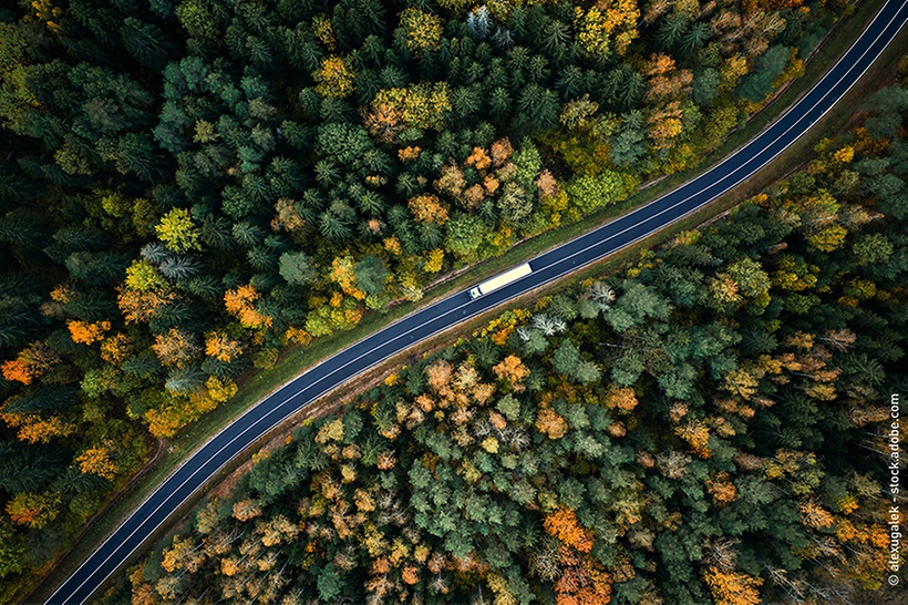 truck on the road surrounded by trees