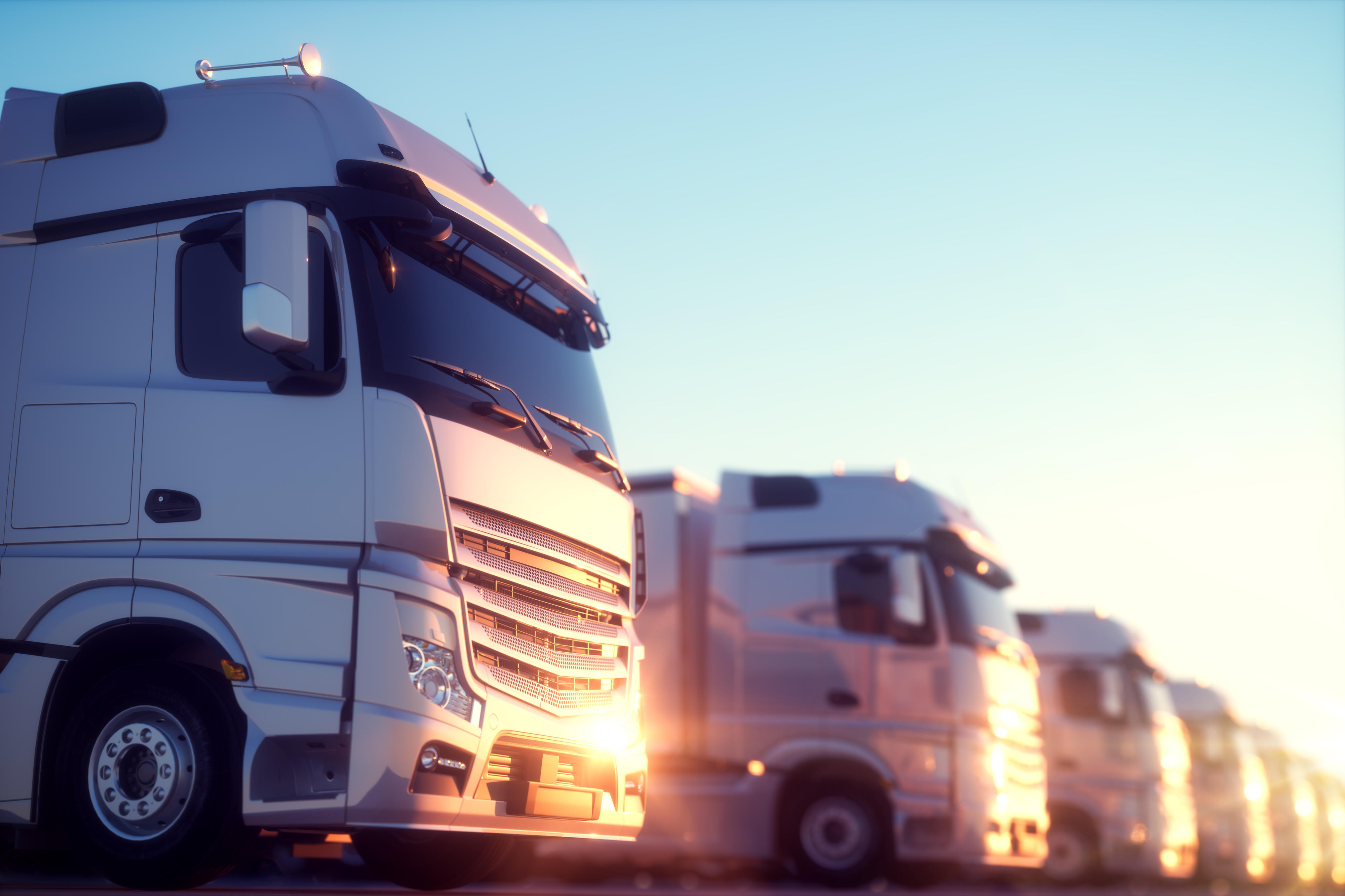 White trucks in sunlight